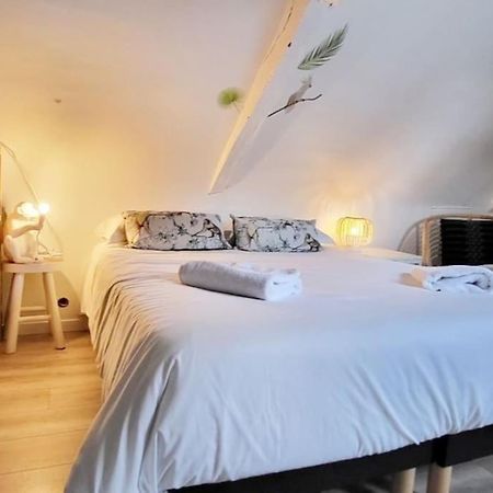 La Cabane - Petit Studio Mansarde - Plage 50M - Rue Gratuite Сен Мало Екстериор снимка